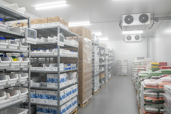 Image which describes the المرونة والتوسع في الأسواق